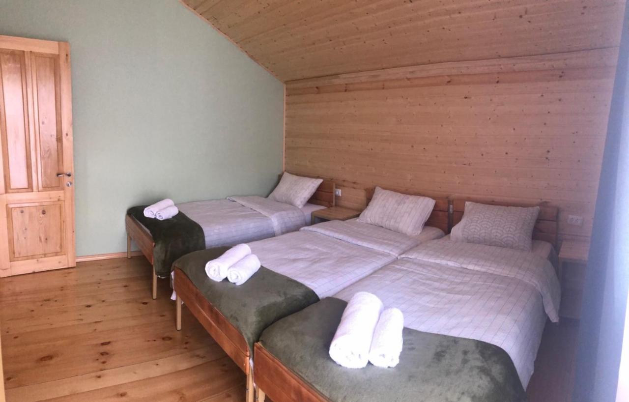 Cozy Place In Kazbegi エクステリア 写真