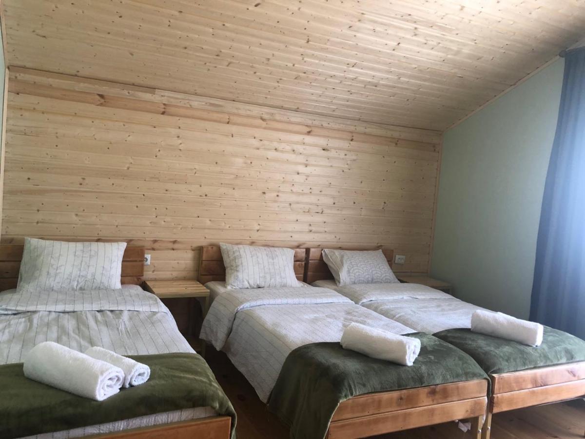 Cozy Place In Kazbegi エクステリア 写真